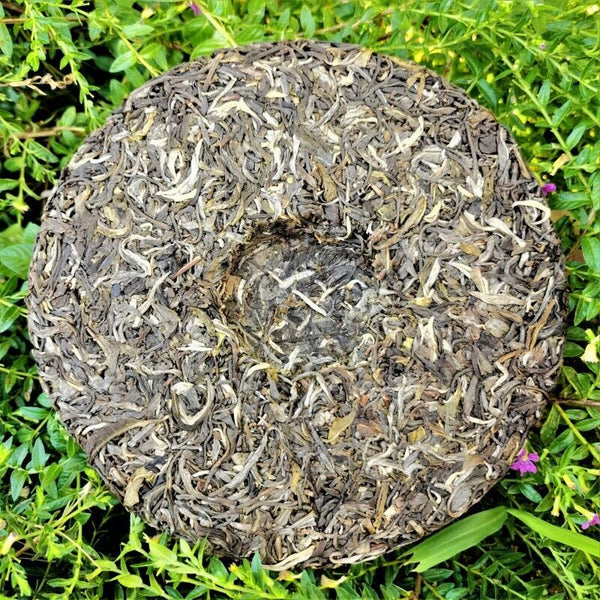 HelloYoung Zhonghong India Mint Tang Pu'er Tea Ancient Tree Pu'er Green Tea 357g