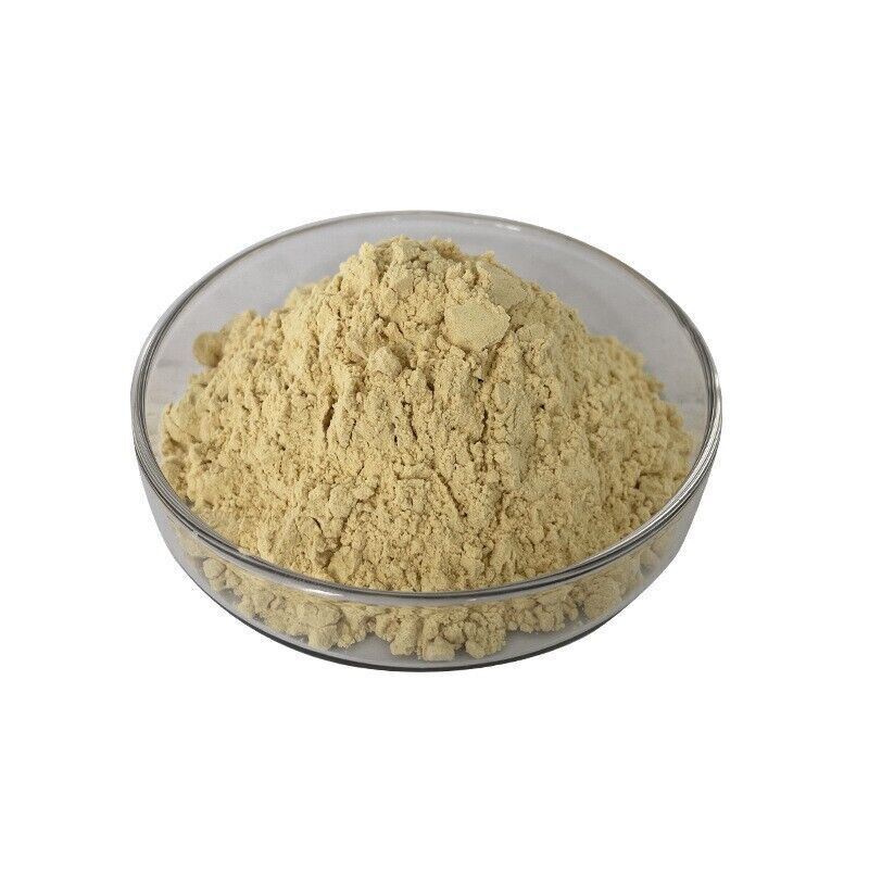 200g Pure Natural Organic Rutin 95% Powder Sophora japonica Extract Main image