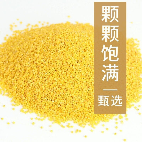 HelloYoung Golden Millet He Lai Xiang Baby Children Shandong High-fiber Yellow Millet 500g