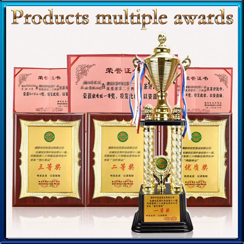 Oolong Tea from Taiwan Organically Grown Jin Xuan Creamy Nutty Taste Aroma 250g