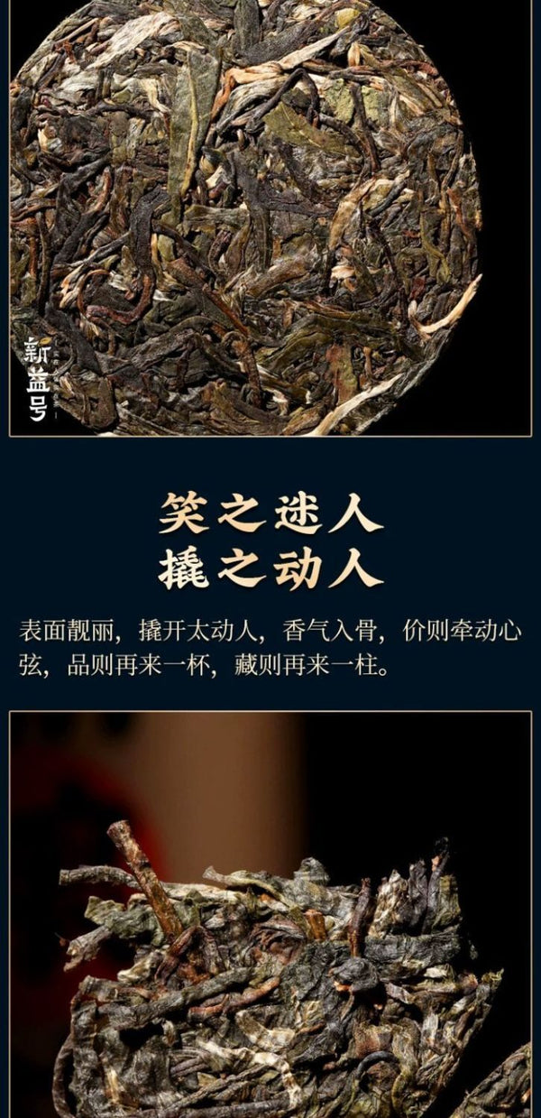 Ancient Tree Raw Pu'er Tea Large Tea Column Tea Yunnan Spring Tea 1000g
