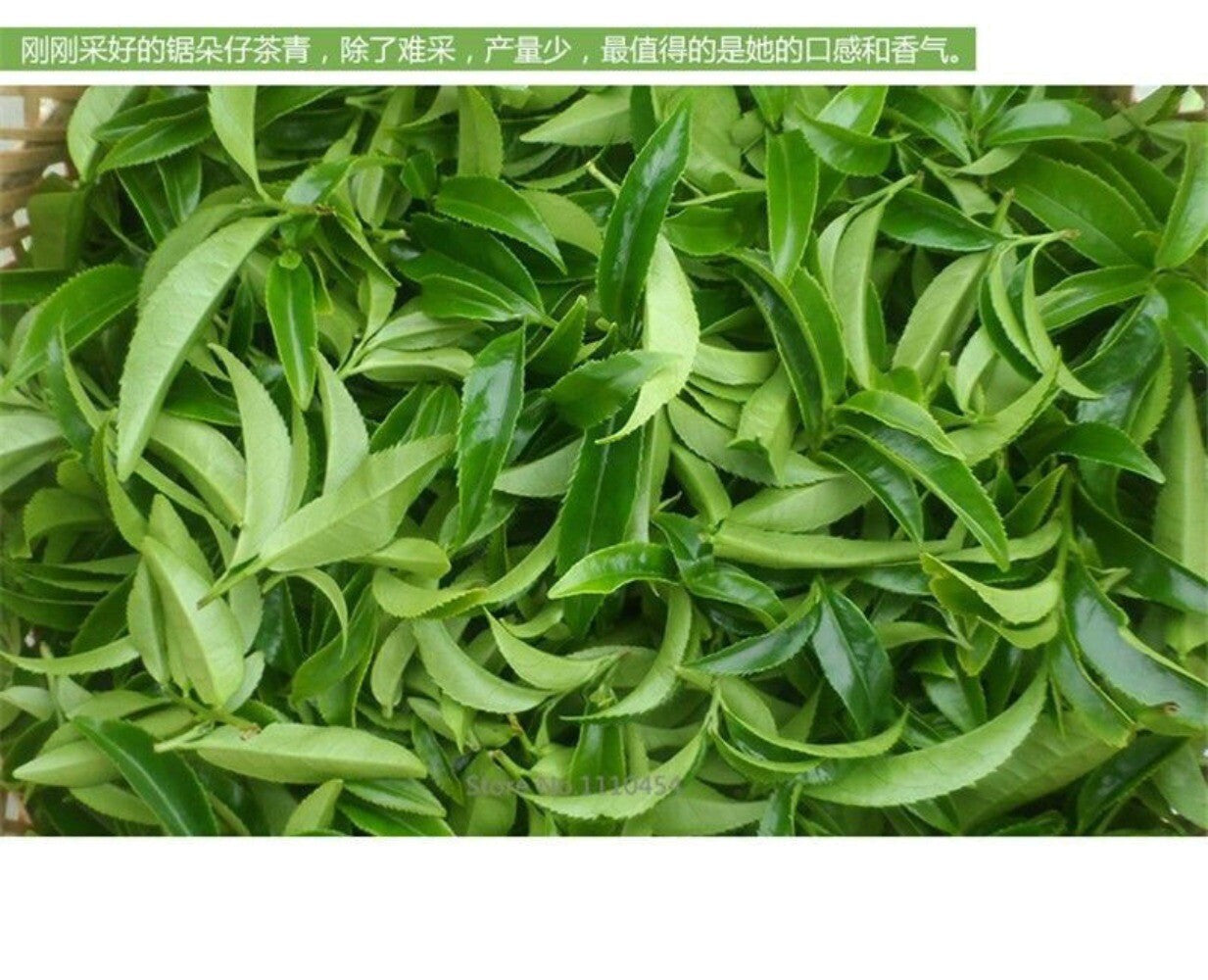 Phoenix Dancong Tea 250g Single Bush Natural Premium