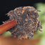 HelloYoung Pressed Tea Ancient Tree Puer Black Tea Cake Yunnan Organic Ripe Puer Tea 100g