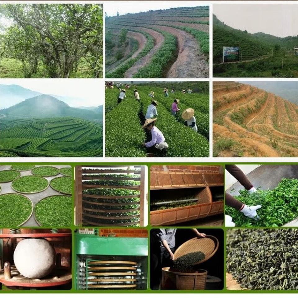 50g  Delight for A Healthy Lifestyle Premium Chinese Tieguanyin Oolong Tea