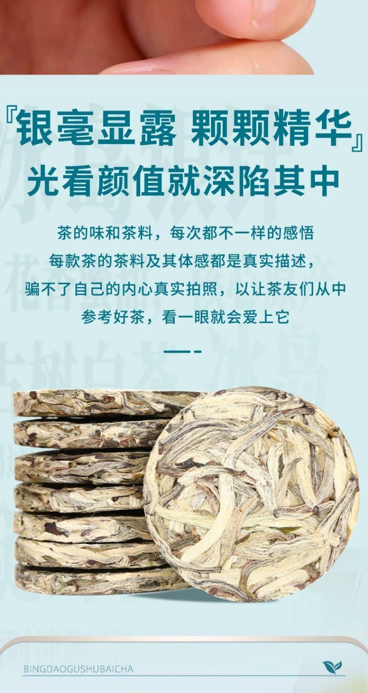 Iceland Ancient Tree Raw Pu'er Yunnan Moonlight White Tea Baekho Silver Needle