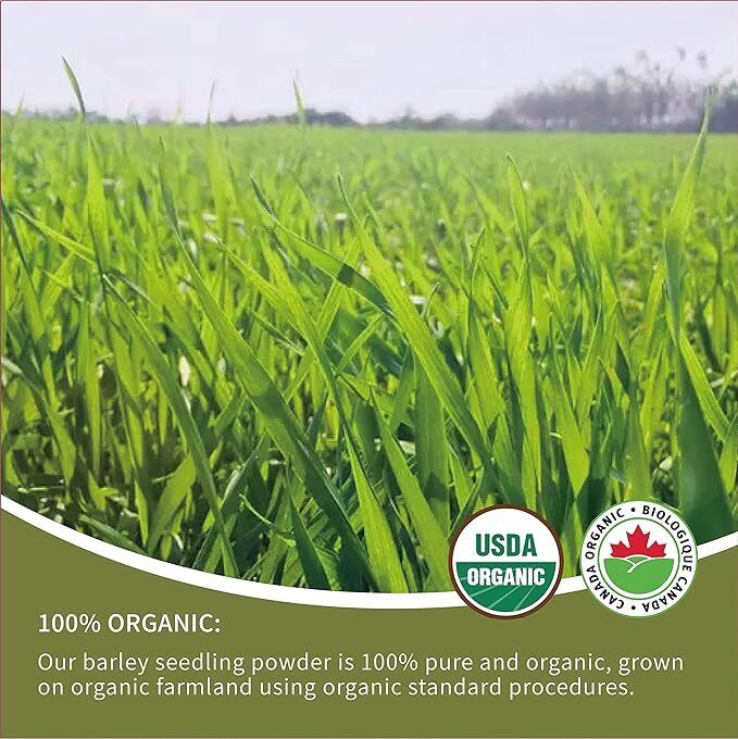 Organic Barley Grass Powder 250g Support Immune System and Digestion, Vegan