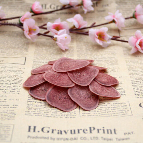 HelloYoung 100% Ecology Cartialgenous Slices Lu Rong Herb for Men Chinese Herbal Medicine