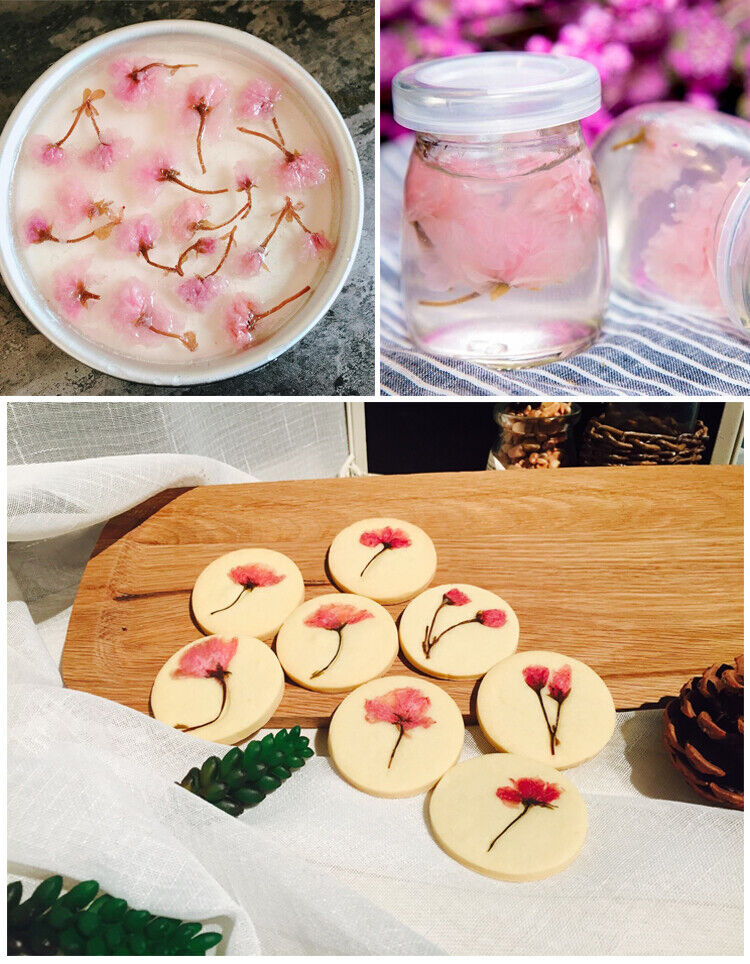 Flower Tea Japanese Salted Sakura Cha Pink Cherry Blossoms Traditional Preserved