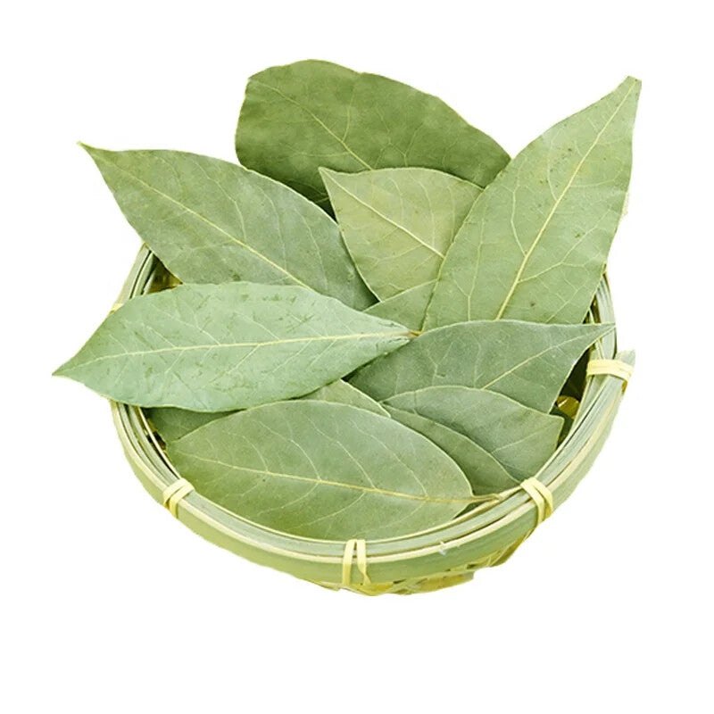 Dry Laurel Bay Leaf Braised Red Wine Seasoning Spice Pot-stewed Meat Condim 250g