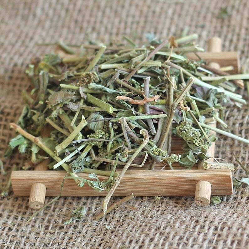 Dried Euphorbiae Hirtae Herba, Garden Euphorbia, Euphorbia hirta L. Fei Yang Cao