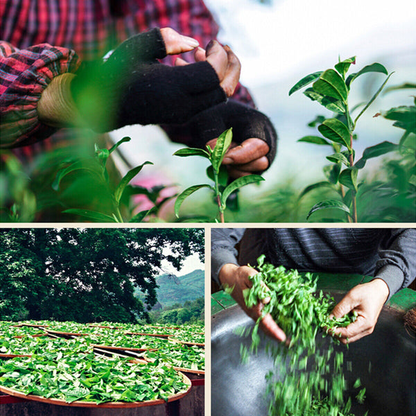 Loose Leaf Dahongpao Tea Black Tea Big Red Robe 250g Oolong Tea Da Hong Pao Tea