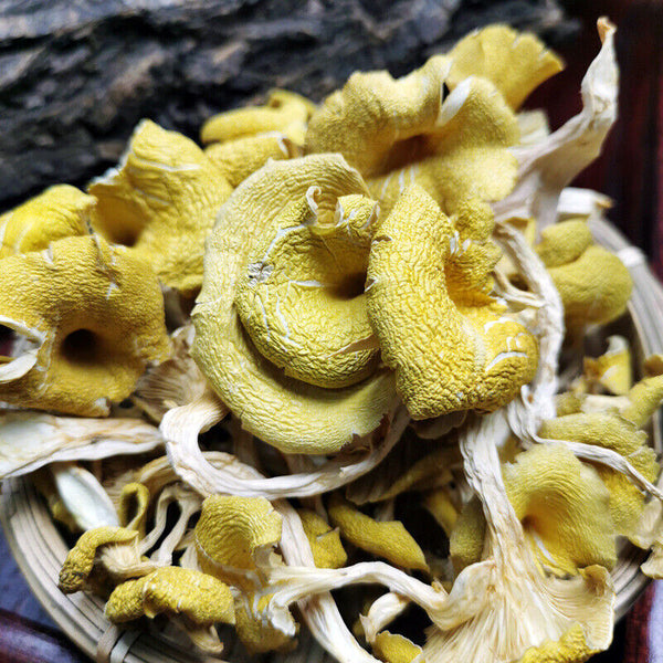 Chicken Oil Mushroom  Yunnan Specialty Yellow Silk Mushroom Soup