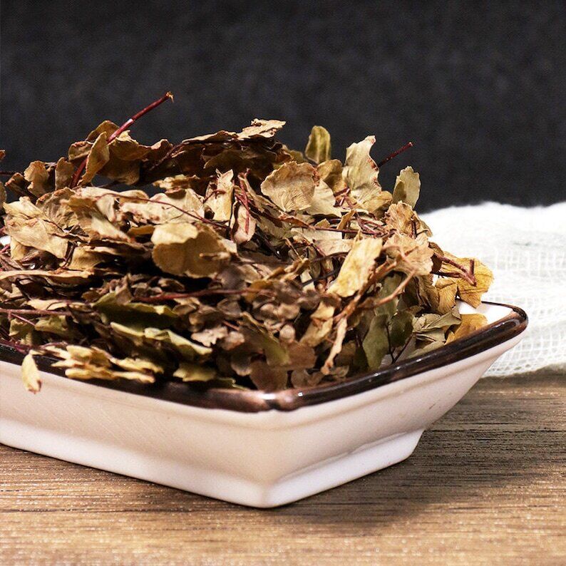 Dried Herbal Asplenii Yunnanensis Yunnan Spleenwort Herb Makes A Healthy Tea