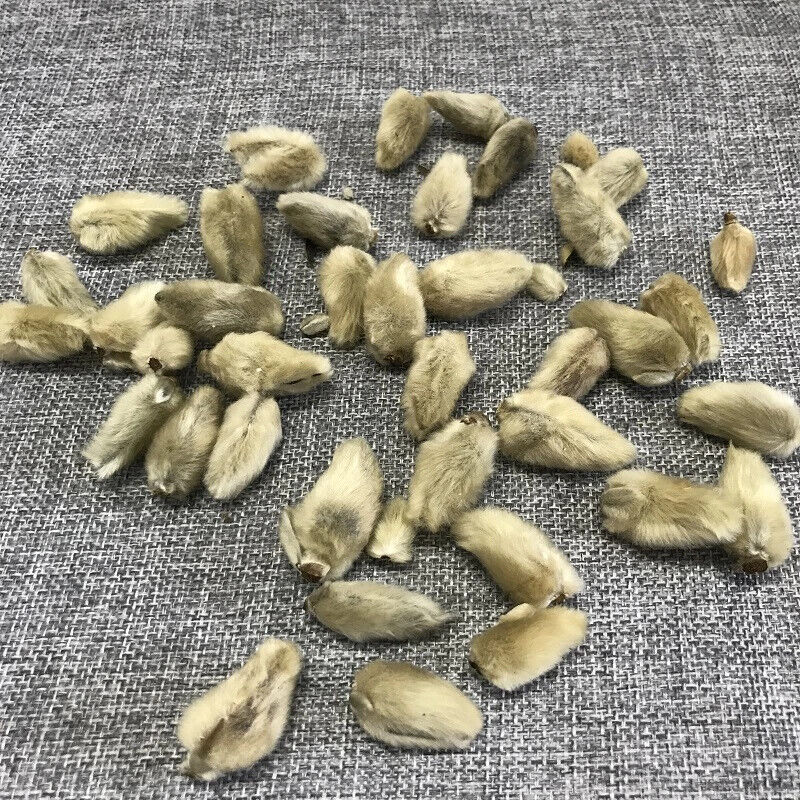 Xinyihua Natural Flavor Tea Dried Flos Magnoliae Flower Tea 250g