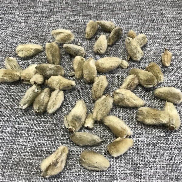 Xinyihua Natural Flavor Tea Dried Flos Magnoliae Flower Tea 250g