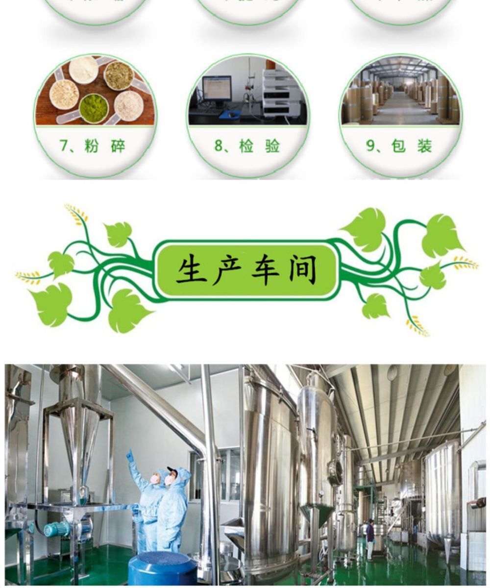 Ginkgo Biloba Extract Water Soluble Rich in Flavonoids Memory & Focus Support