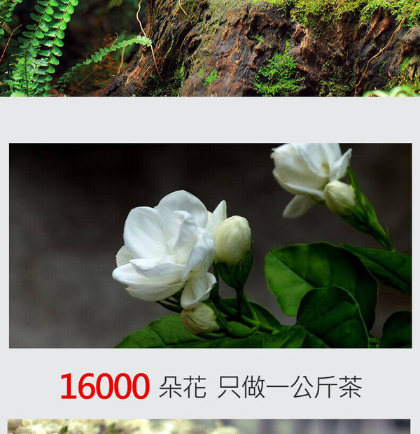 HelloYoung Strong Fragrance Jasmine Tea New Tea Loose Drifting Fragrance Herbal Tea 100g