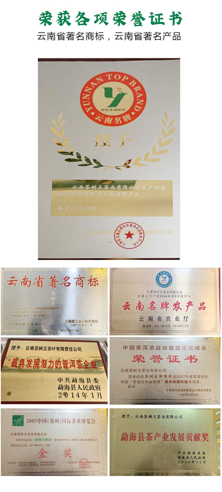 HelloYoung Yunnan Puerh Tea Puerh Raw Tea Brick Xigui Gold Leaf 1000g/2.2LB