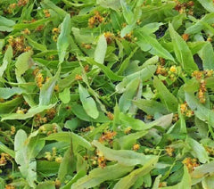 Natural Blossoms Tea Whole Tiliae Flores Dried Linden Flowers  Tea 250g