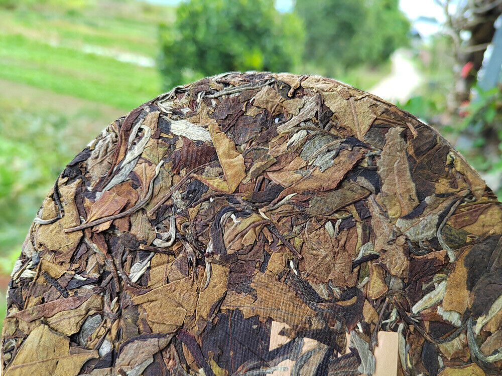 HelloYoung White Tea Pu'er Tea Old Tree White Tea Cake 300g