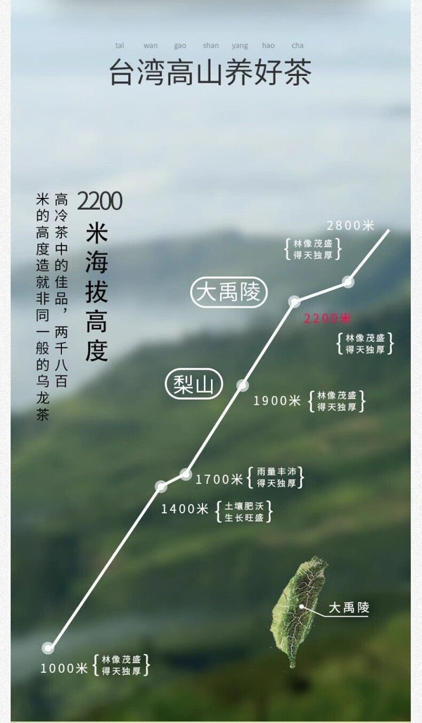 Tung-ting Tea Taiwan Oolong Tea High-mountain Tea 600g Dayuling Lishan Tea