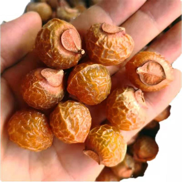 HelloYoung Sapindus indica pericarp herb Sapindus indica pericarp Sapindus indica500g/1.1lb