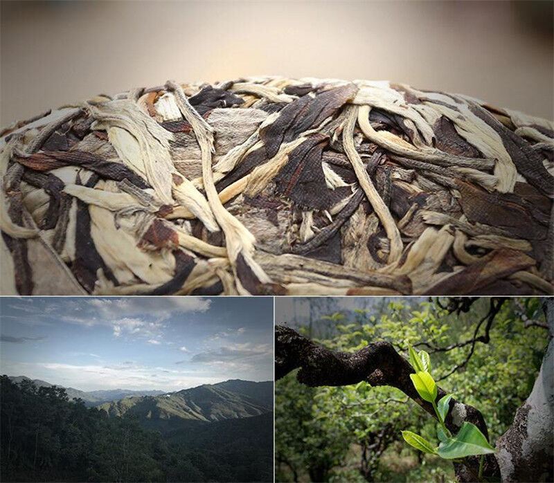 cha Puerh Tea Organic Moonlight Beauty Menghai Puer Moonlight Sheng Pu-erh 357g