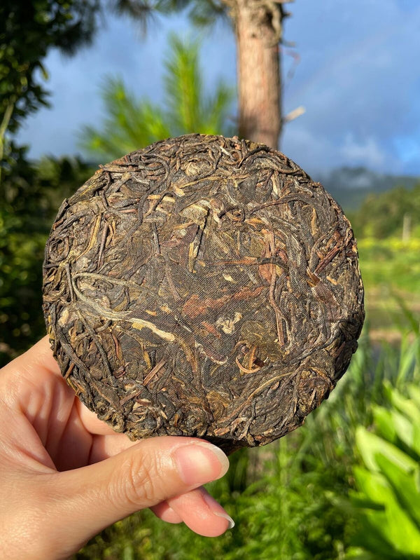 HelloYoung Rare Icelandic Ancient Tree Pu-erh Tea Fat Scraping Raw Tea Sweet 100g