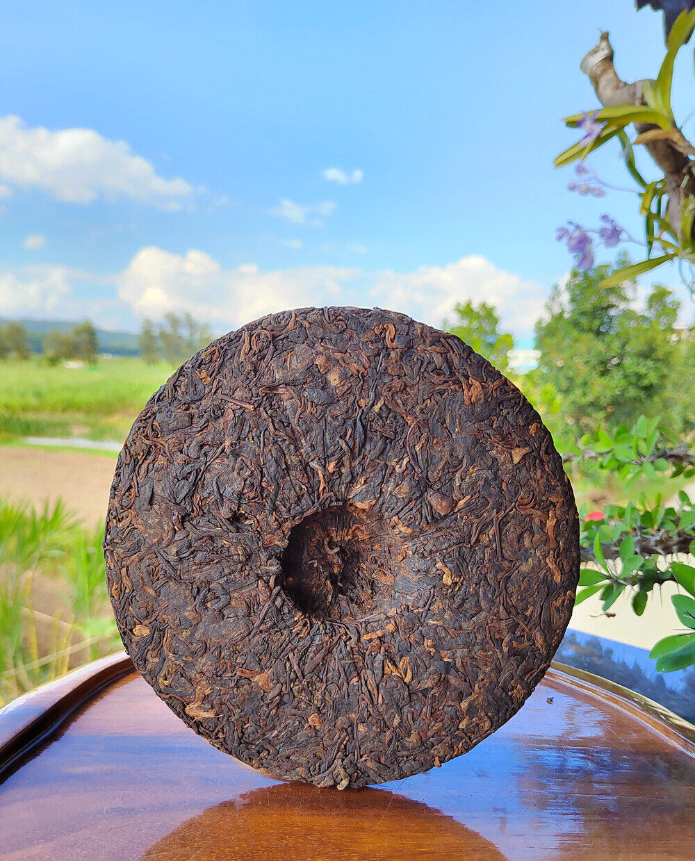 HelloYoung Puerh Ripe Tea Brown Mountain Ripe Tea Yunnan Seven Seed Cake Menghai Pu'er