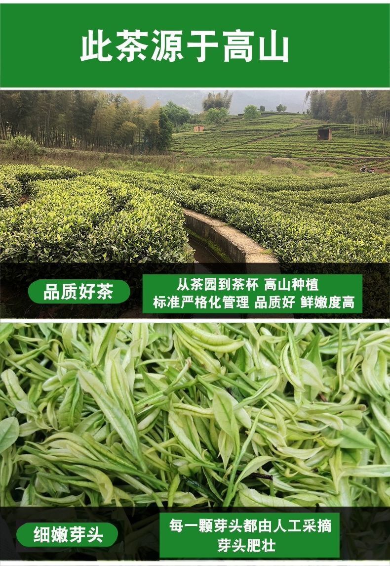 HelloYoung New pring Tea High Mountain Cloud Green Tea Strong Fragrance Ration Tea 250g