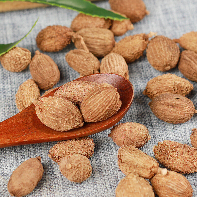 250g/500g Featured Amomum Sharen Natural Organic Herbs 砂仁