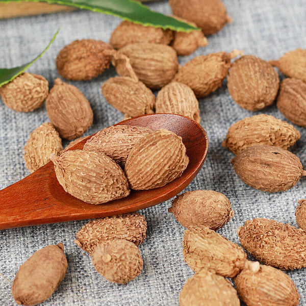250g/500g Featured Amomum Sharen Natural Organic Herbs 砂仁