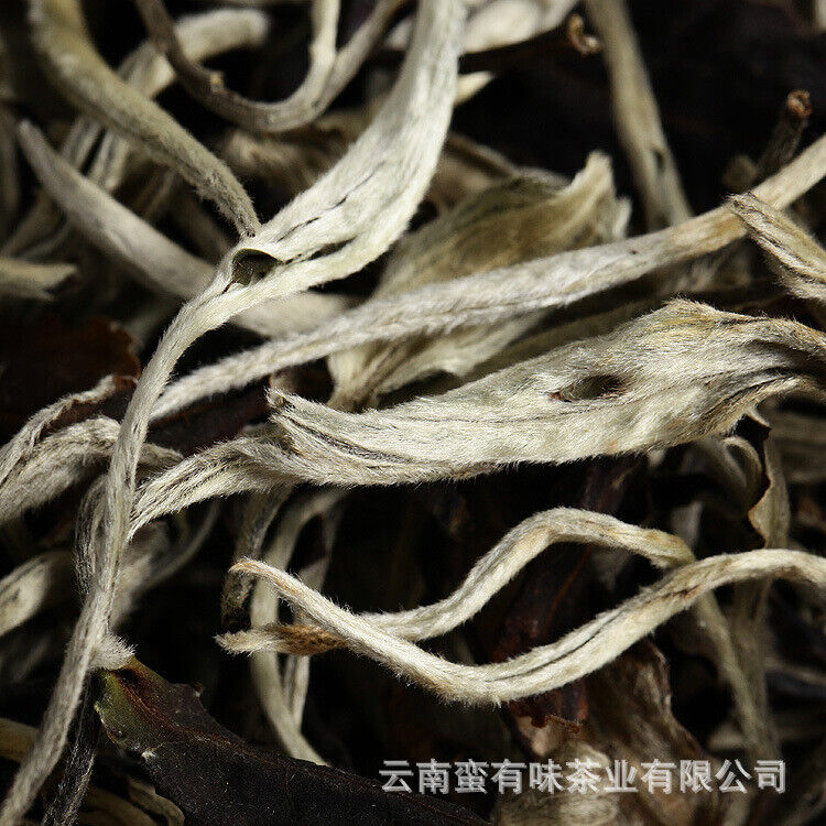 HelloYoung 500g Yunnan Jinggu Yangta Ancient Tree White Tea One Bud One Leaf Scattered Tea Secondary image