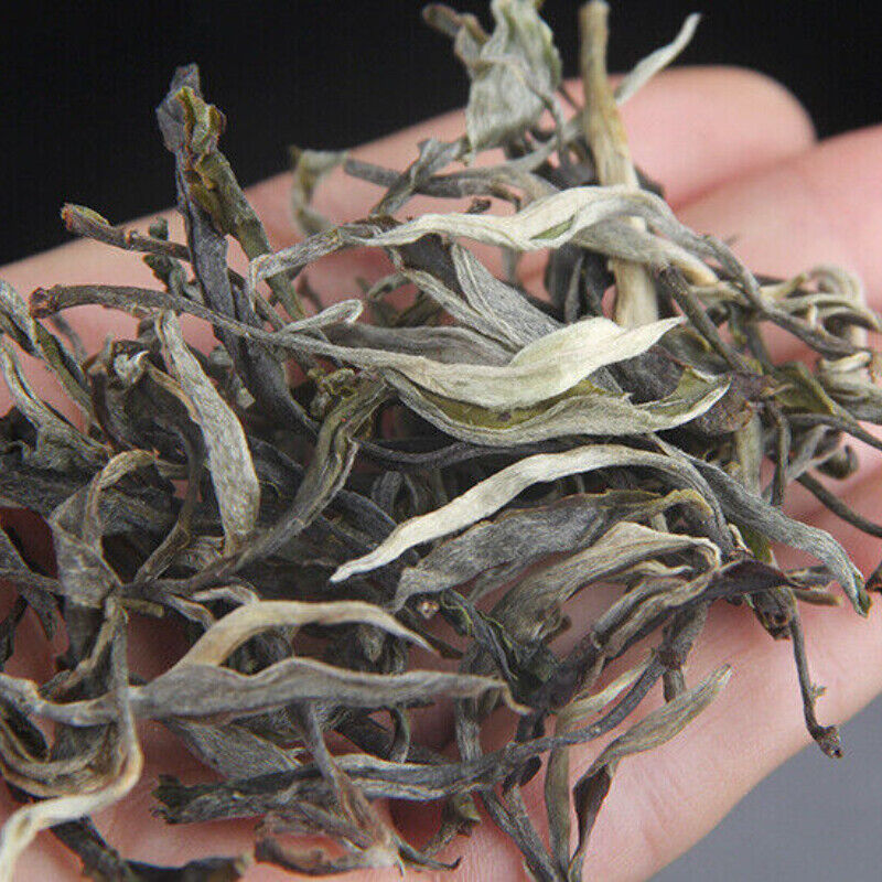 500g Loose Spring Tea Big Tree Grand Xueshan Pu-erh Cha Tea