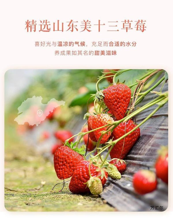 250g/500g Gefriergetrocknete Erdbeerstücke – Natürlich, Frisch und Gesund