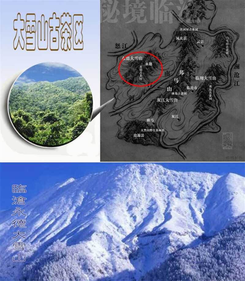 Förderung Bestnote ursprünglichen alten Baum Pu-Erh Tee Puerh Puer schwarzer Tee