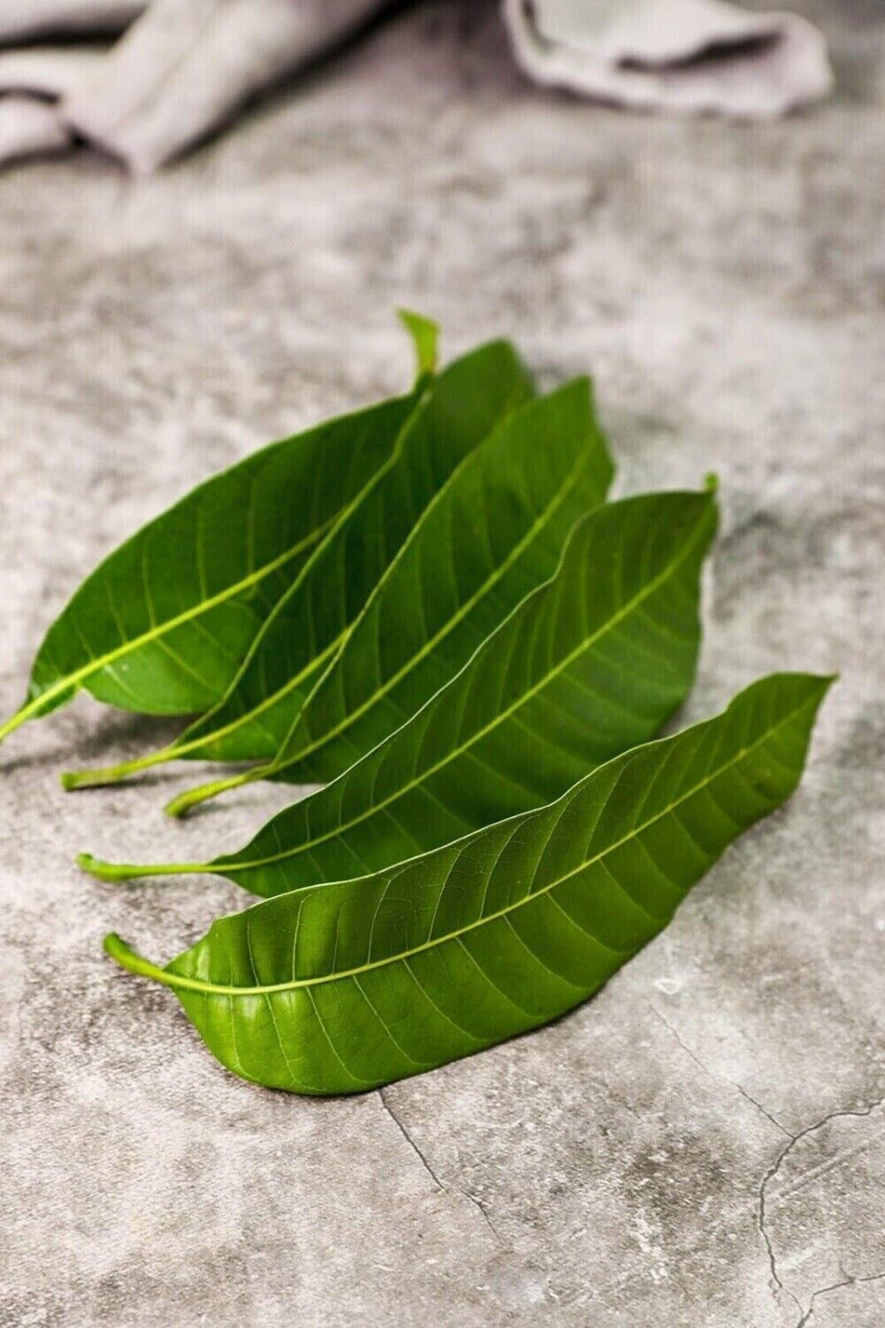 Mango Leaf Tea Dried Organic 50g Premium Natural Fresh Herbal Loose Leaf