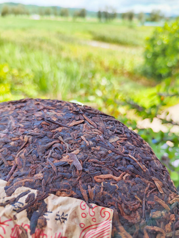 HelloYoung Icelandic Pu'er Ripe Tea Mengku Ancient Tree Ripe Tea Cake Pu'er Tea HongJinYin