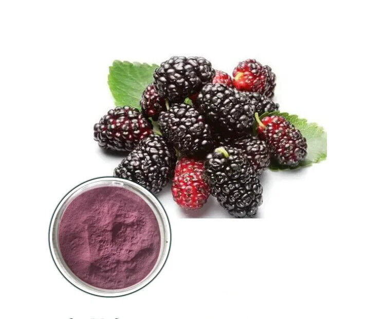 ISO Zertifikat Maulbeeren Pulver Maulbeeren Frucht Pulver Extrakt für Getränk Secondary image