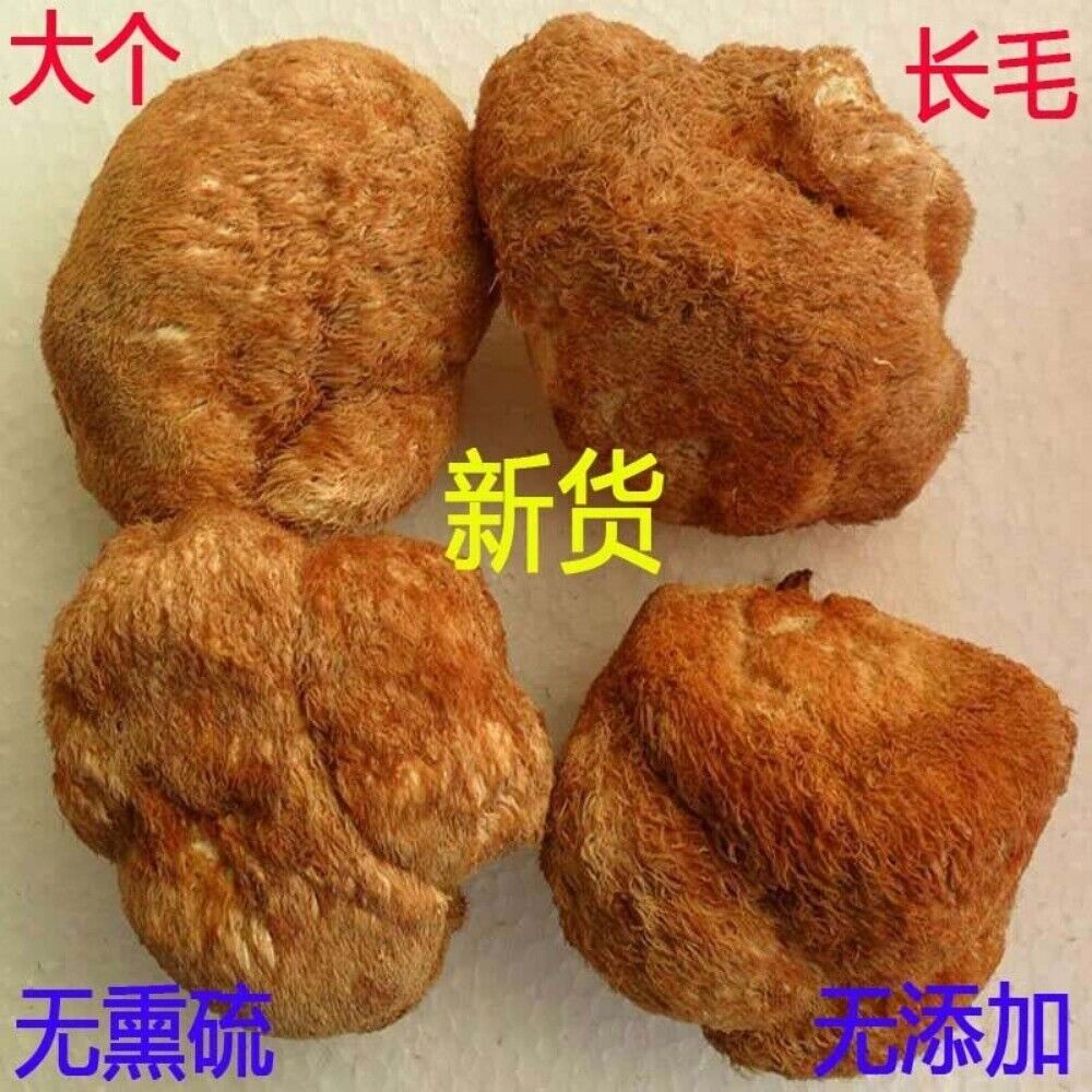 Organic Lion's Mane Mushroom 500g 100 Dried Premium