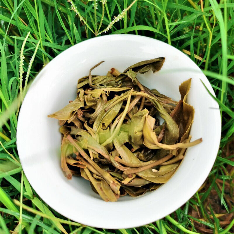 HelloYoung 357g Top Pu-Erh Spring Tea Cake Zhonghong Yin Bow Ancient Tree Tea Yiwuwanggong