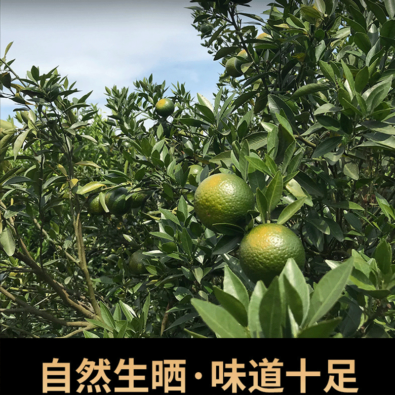 Pu'er Ripe Tea250g新会生晒小青柑普洱熟茶 Xinhui Xiaoqingguan