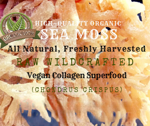 Whole Leaf Irish Moss Sea Moss 1 lb | Raw WildCrafted Superfood-16 Oz