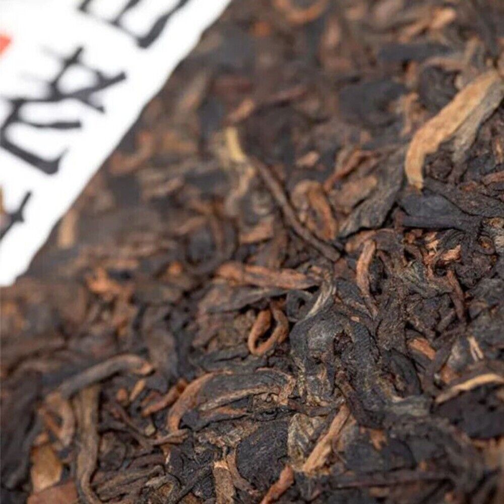 2023 Haiwan Ripe Pu-erh 500g Batch 231 Remote Mountain Old Tree