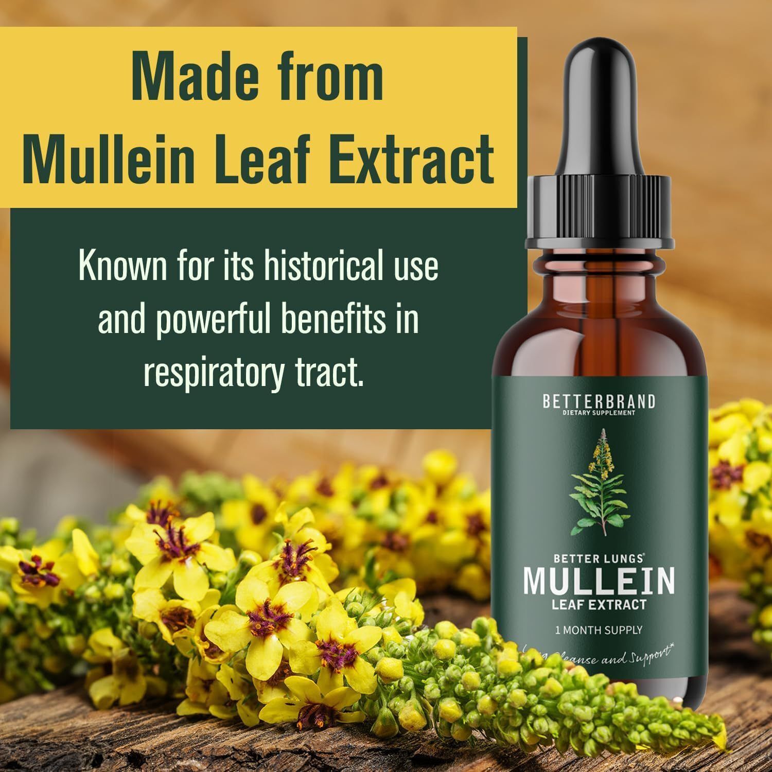 Explosive Tricholoma Leaf Drops Mullein Leaf Extract Drops