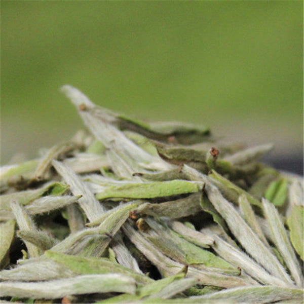 HelloYoung300g Old Fuding white tea cake natural organic Chinese white tea silver needle