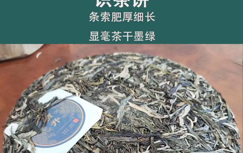 HelloYoung Yunnan Pu'er Tea He Kai Raw Tea Ancient Tree First Spring Pu'er Tea 357g