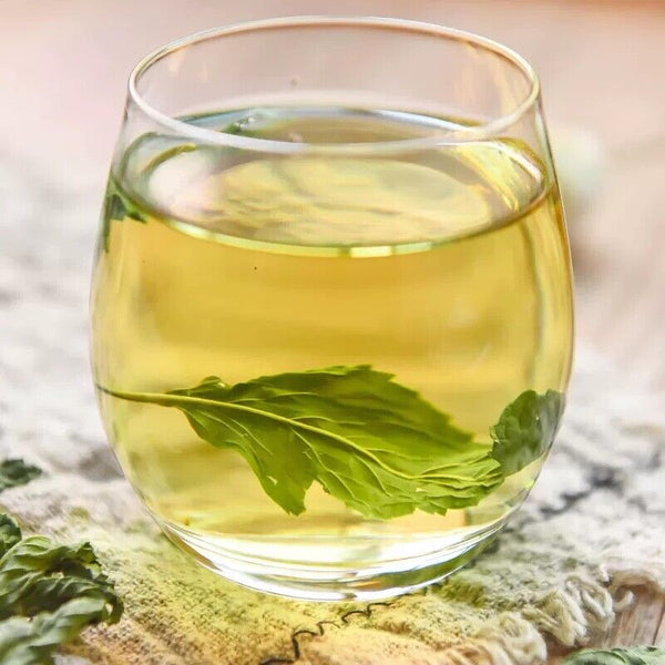Mint Leaves Dried Peppermint Tea Herbal Pure Peppermint Natural Tea 500g/1.1LB