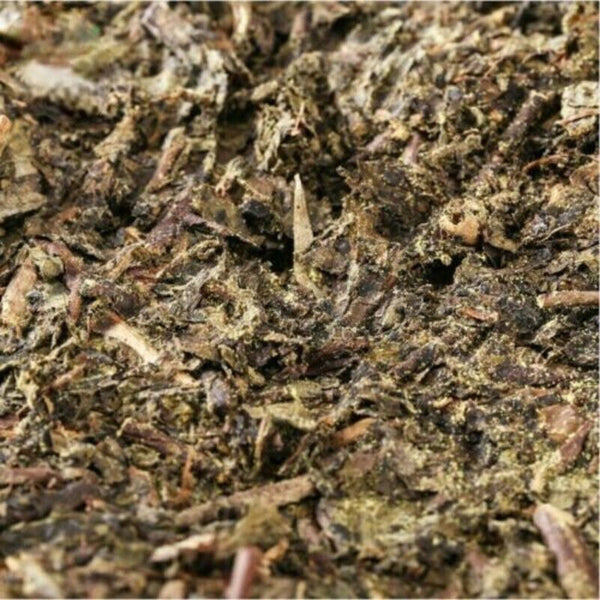 HelloYoung 300g Hunan Fu Tea Fucha Special Made Yiyang Anhua Dark Tea Hei Cha Fu Brick Tea