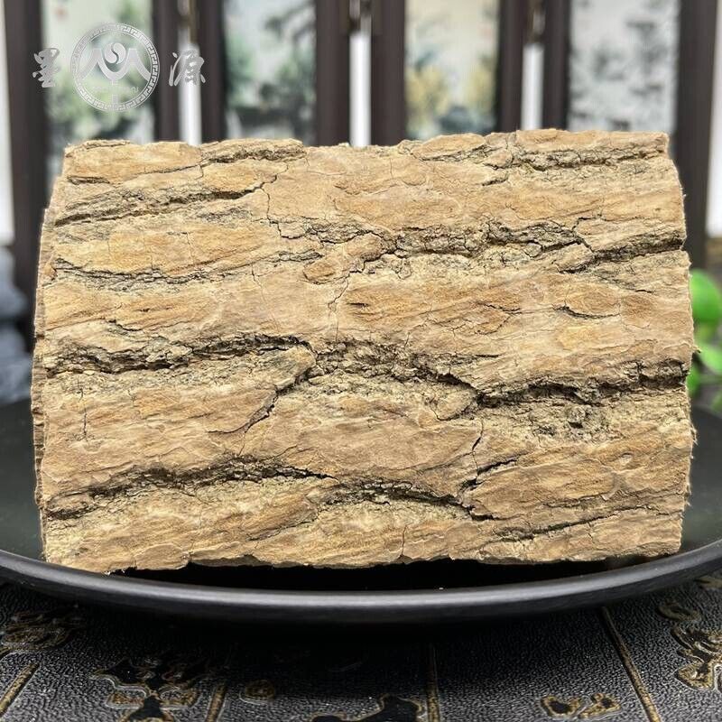 High Quality Eucommia Ulmoides Chinese Herbal Raw Eucommia Ulmoides Duzhong 杜仲